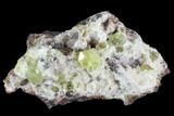 Apatite Crystals with Quartz - Durango, Mexico #91344-1